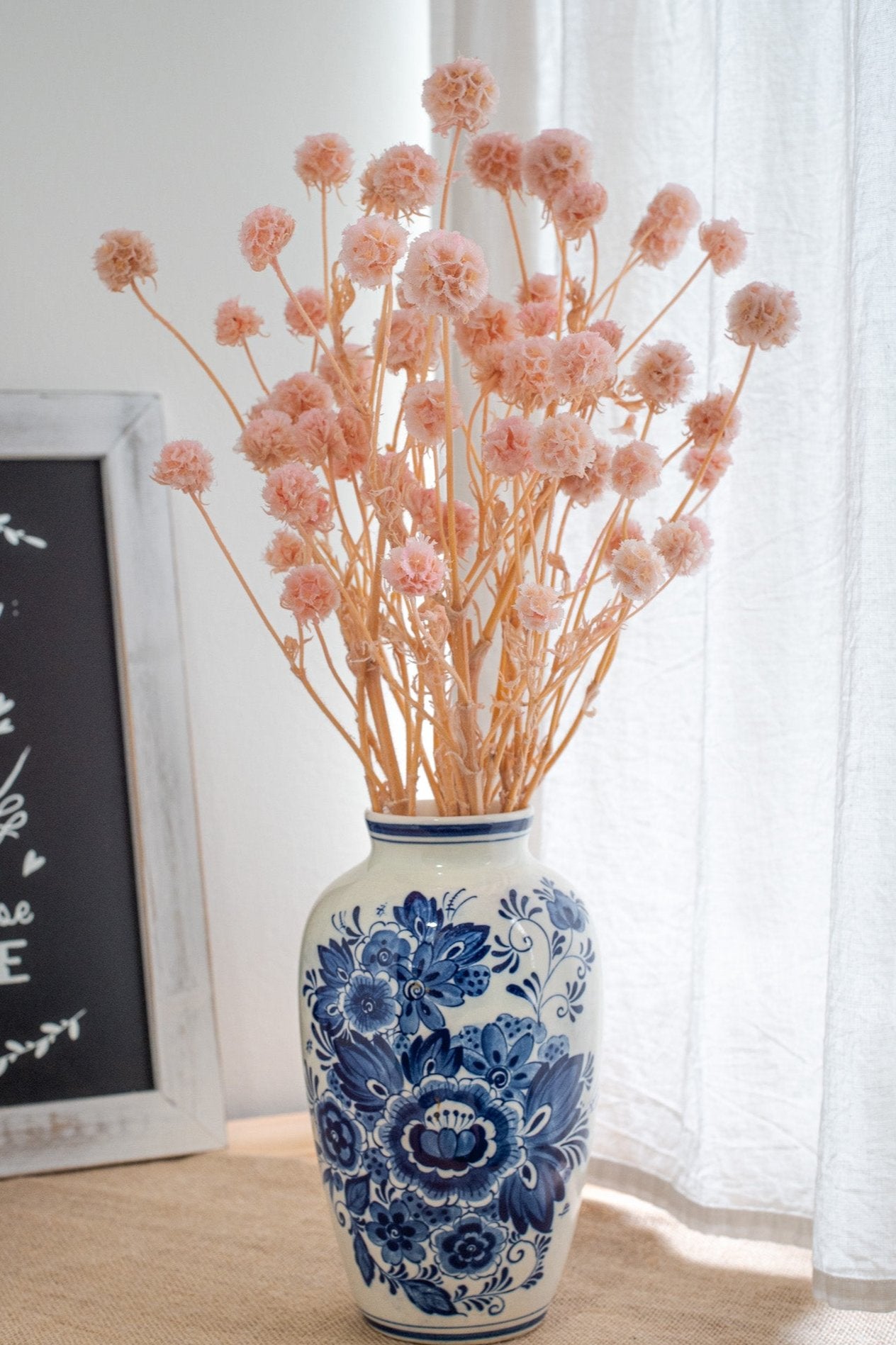Preserved Windmill Fruit Flower / Morning Bride