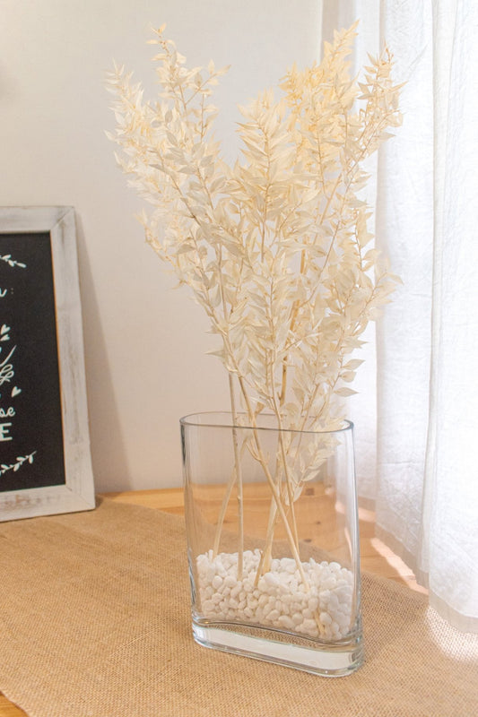 Preserved Ruscus