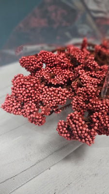 Fillers & Berries