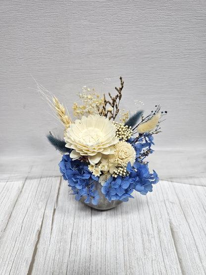 Blue Beauty in a Vase