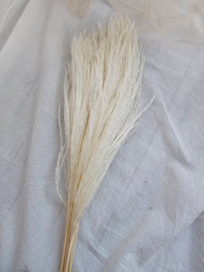 Small Whisk Flower