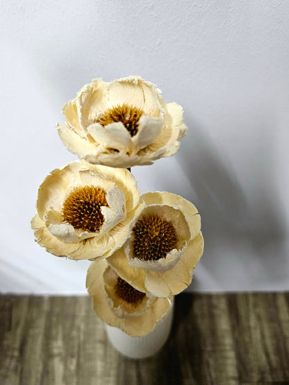 Daisy (Wood Flower)