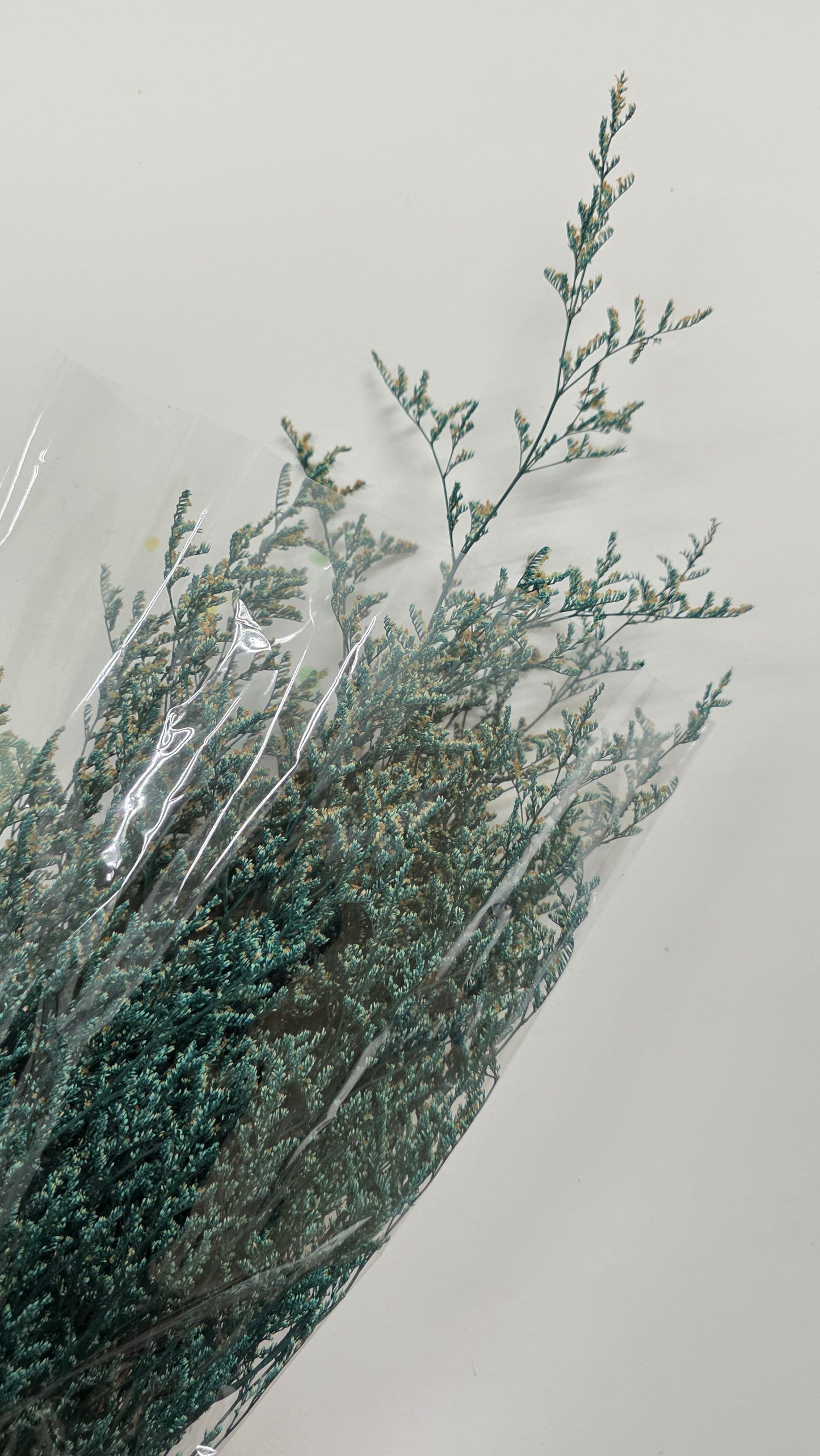 Preserved Limonium