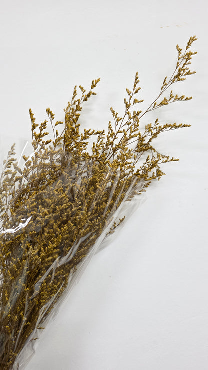 Preserved Limonium