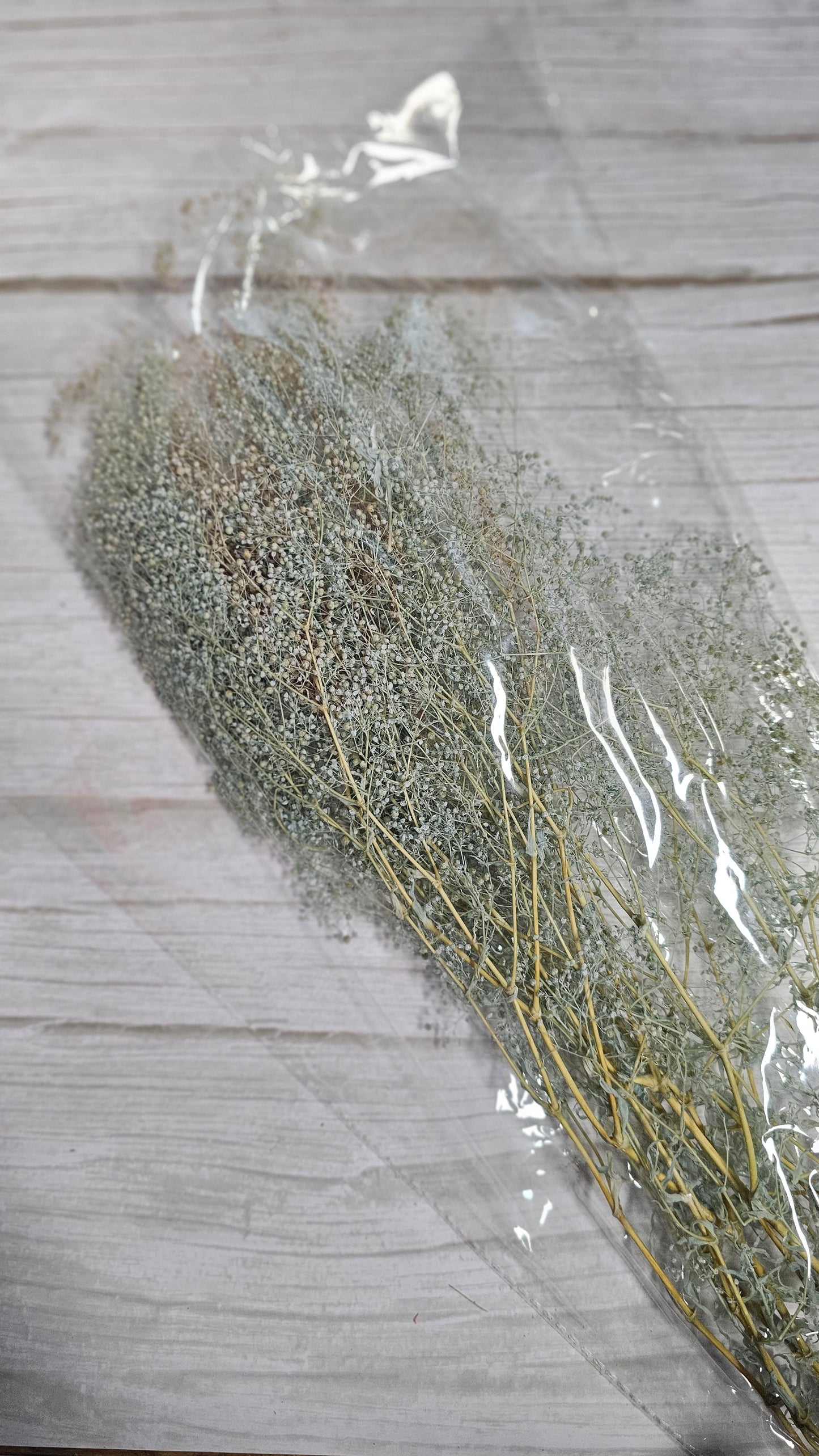Preserved Dream Star Flower / Lamae
