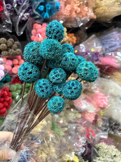 Preserved Passepartout Flower