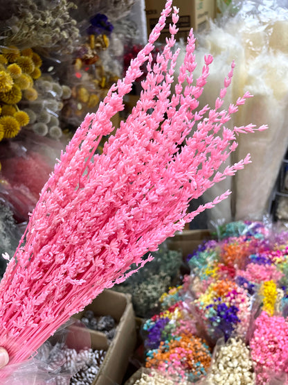 Preserved Lavender