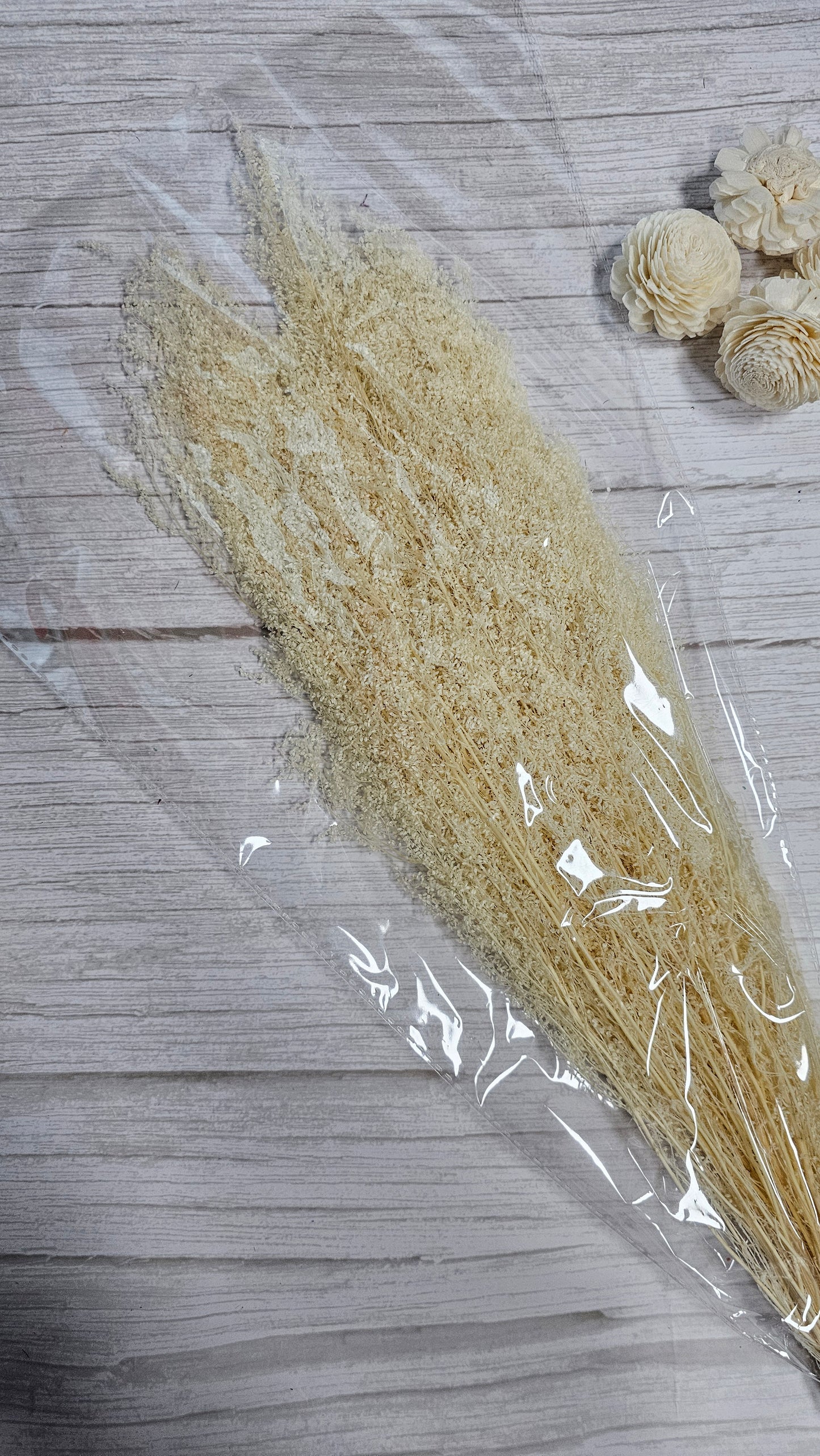 Preserved Dream Star Flower / Lamae