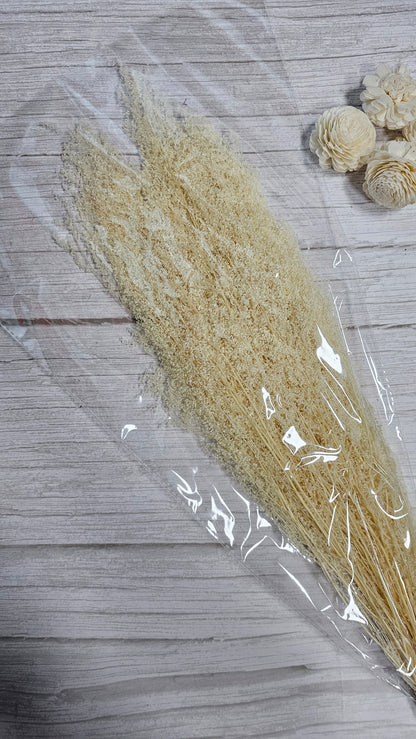 Preserved Dream Star Flower / Lamae
