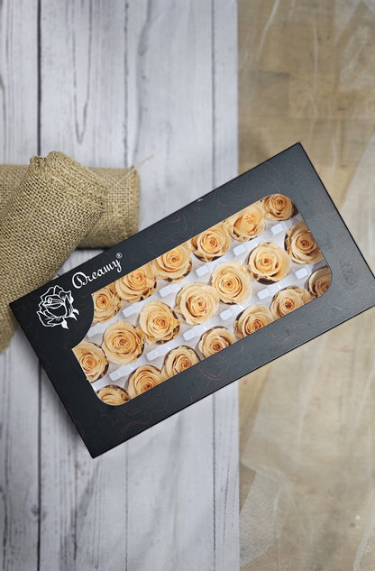 Preserved Mini Roses