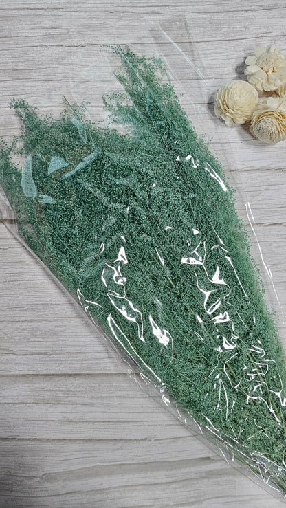 Preserved Dream Star Flower / Lamae