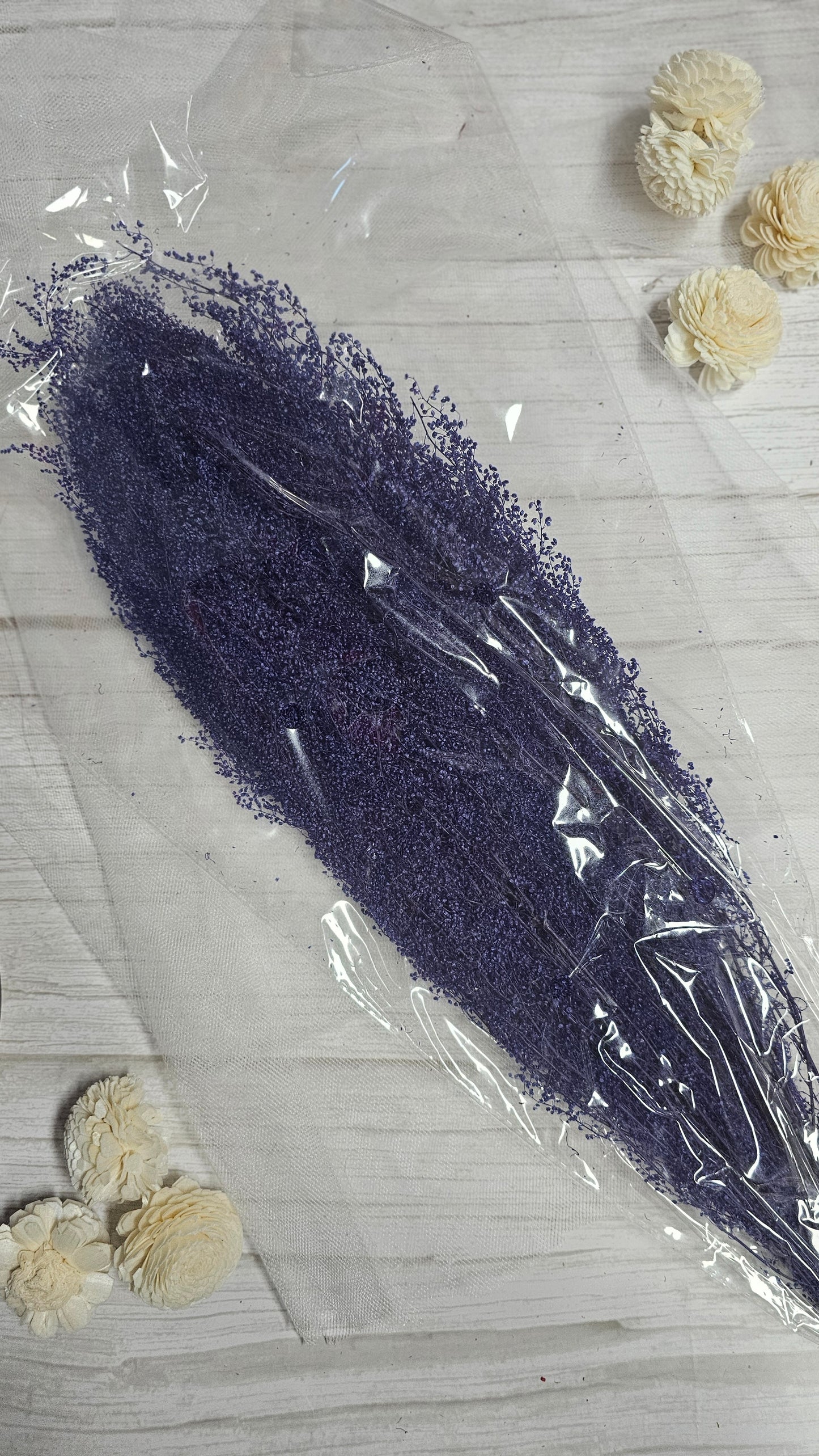Preserved Dream Star Flower / Lamae
