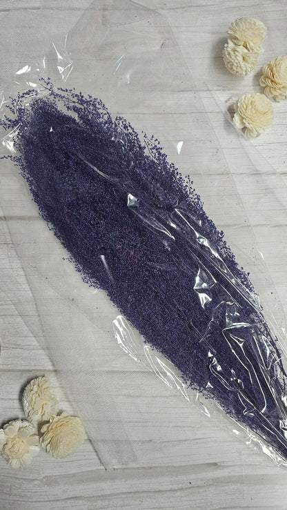 Preserved Dream Star Flower / Lamae