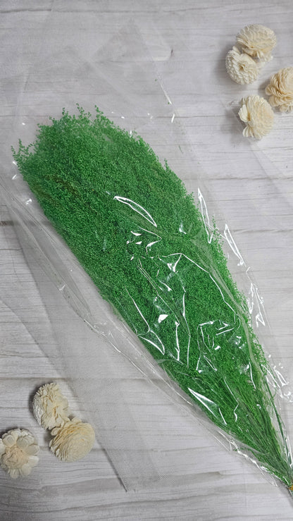 Preserved Dream Star Flower / Lamae