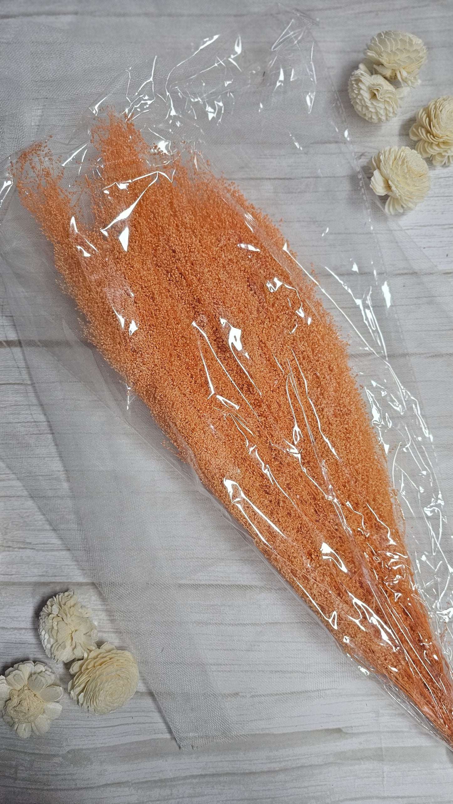 Preserved Dream Star Flower / Lamae