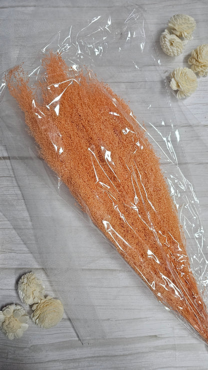 Preserved Dream Star Flower / Lamae