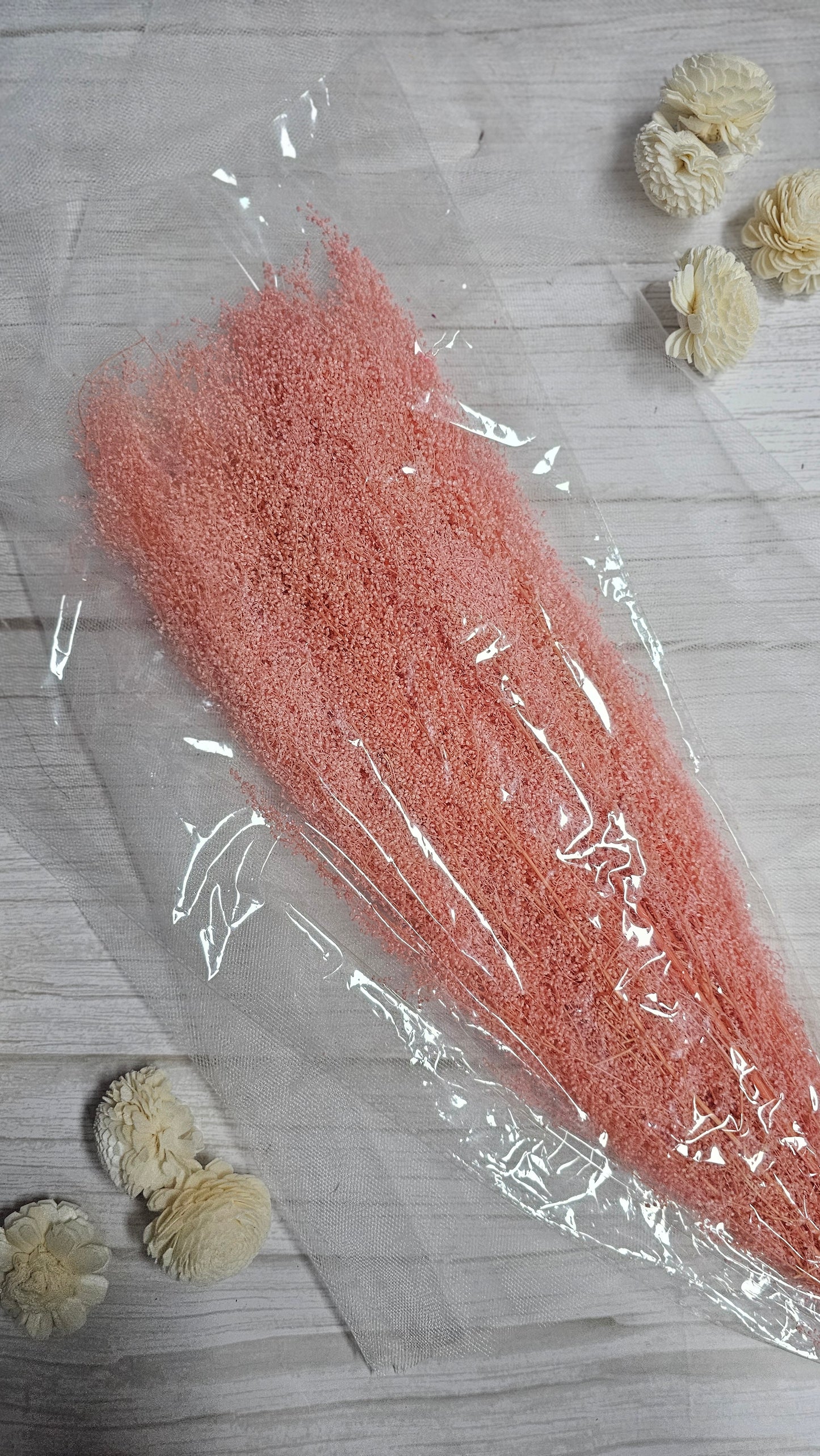 Preserved Dream Star Flower / Lamae