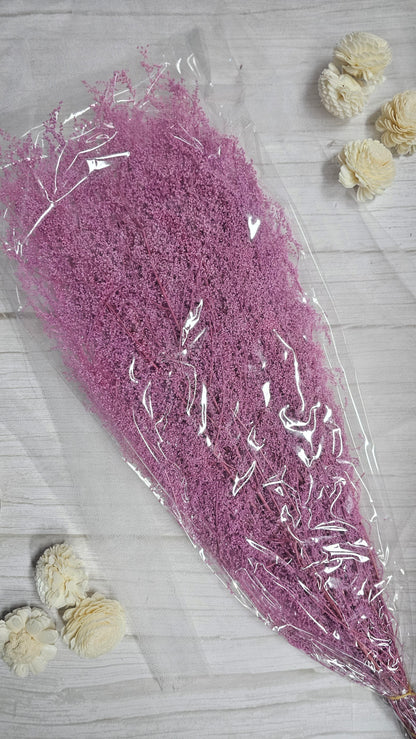 Preserved Dream Star Flower / Lamae