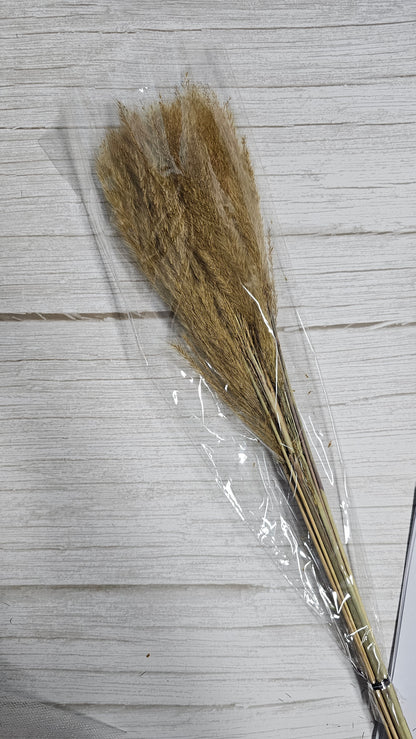 Golden Silk Grass
