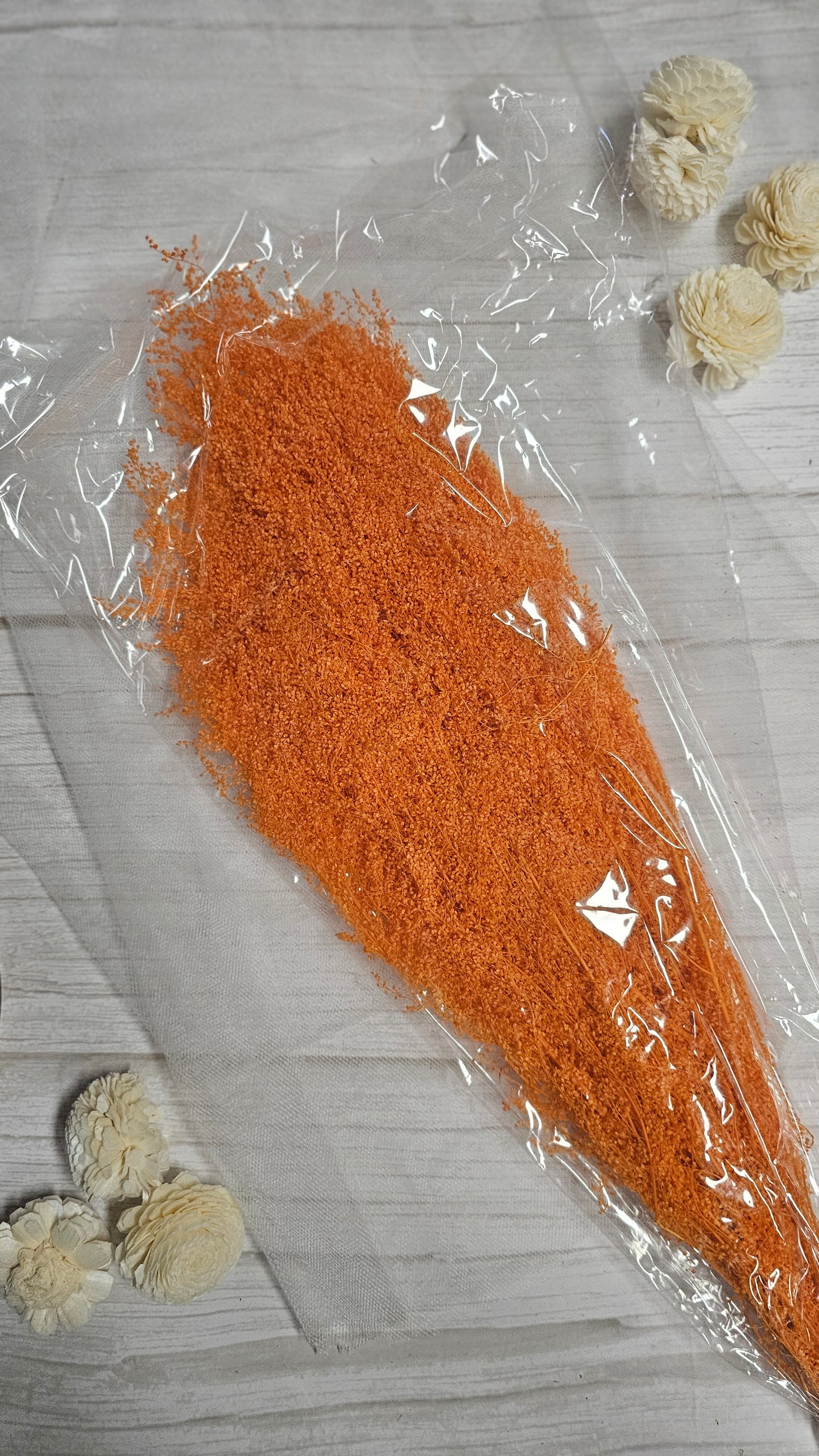 Preserved Dream Star Flower / Lamae