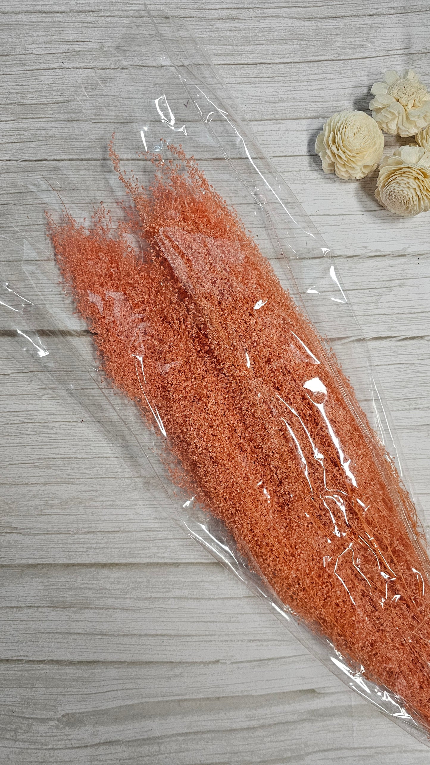 Preserved Dream Star Flower / Lamae
