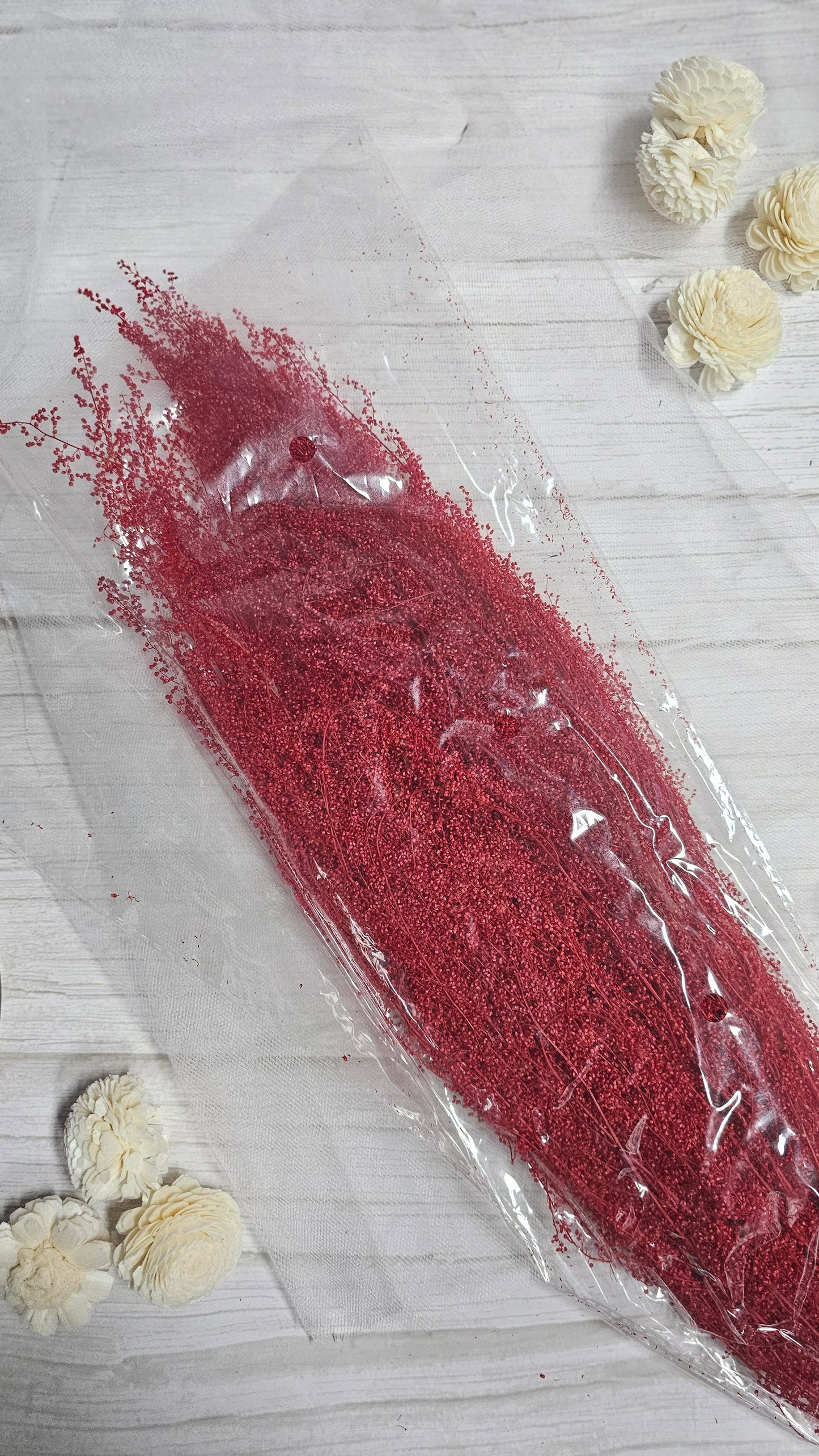 Preserved Dream Star Flower / Lamae