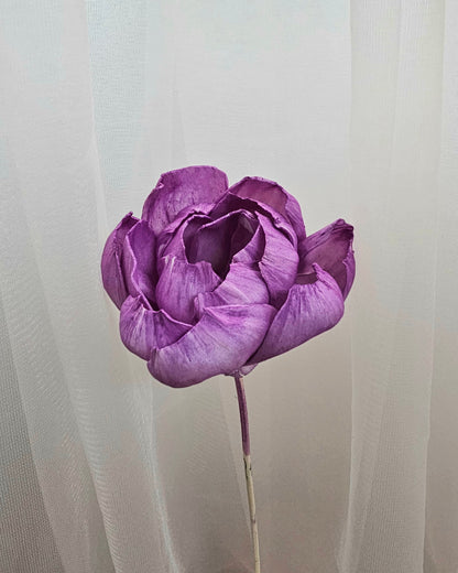 Peony Sola Flower (Single Stalk)