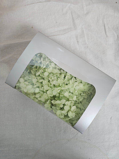 Preserved Hydrangeas (Box)