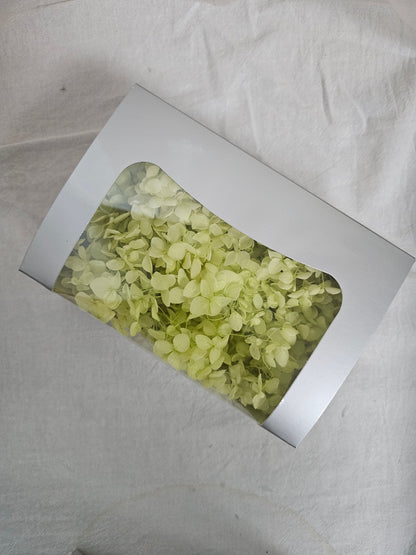 Preserved Hydrangeas (Box)