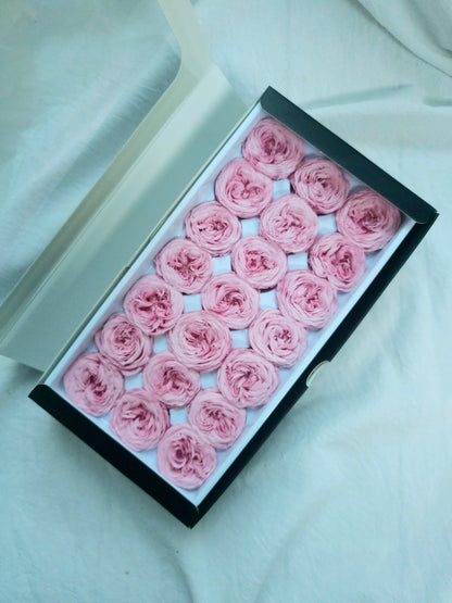 Preserved Mini Austin Roses