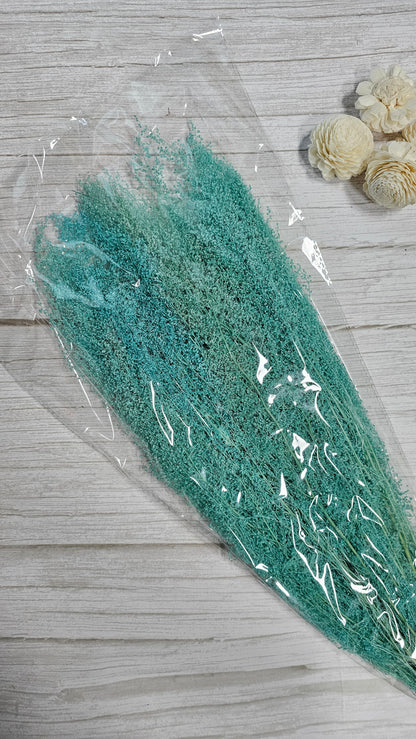 Preserved Dream Star Flower / Lamae