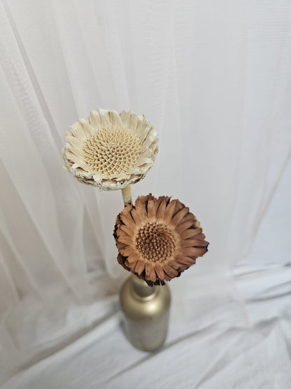 Dried Sunflower