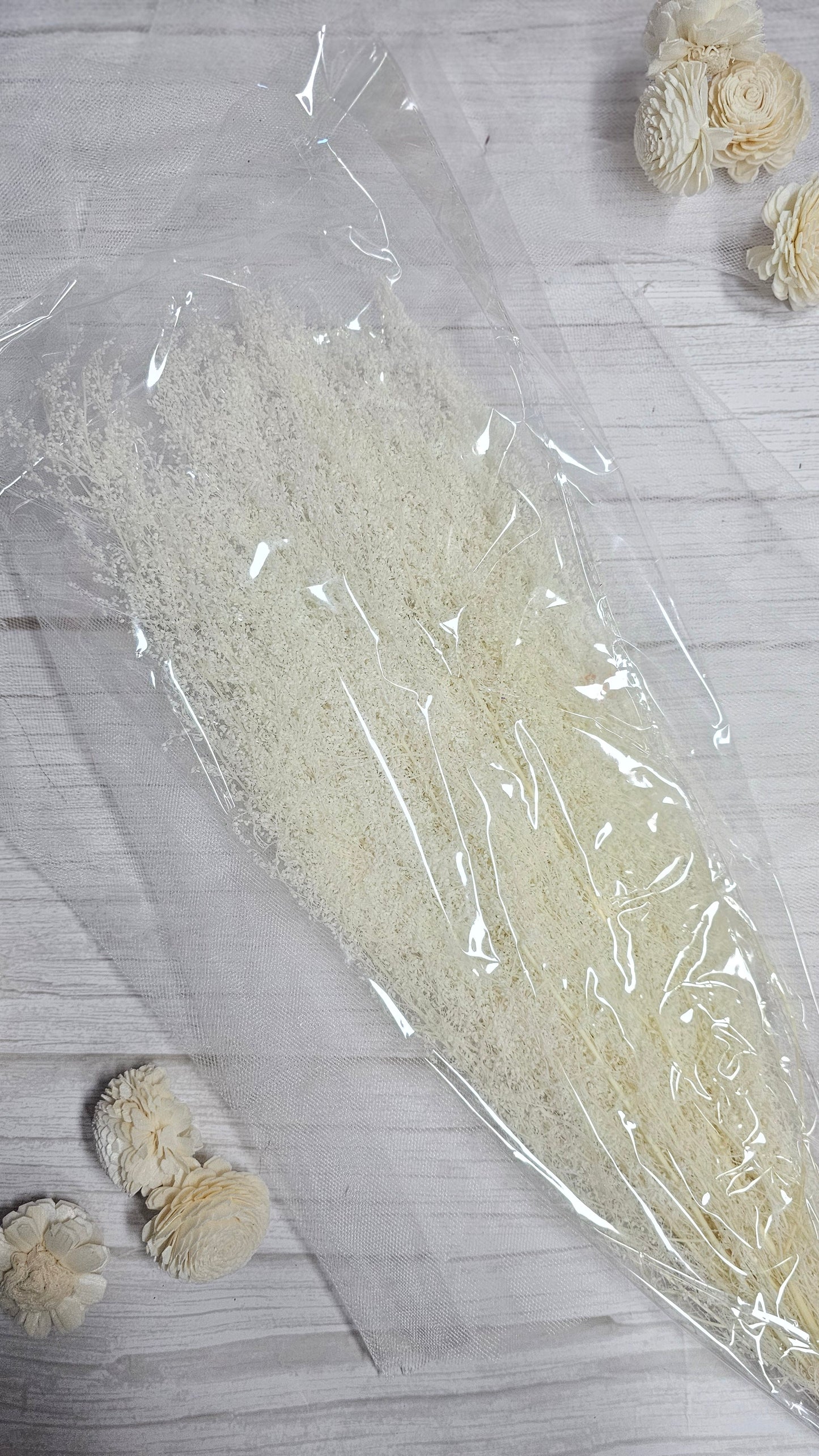 Preserved Dream Star Flower / Lamae