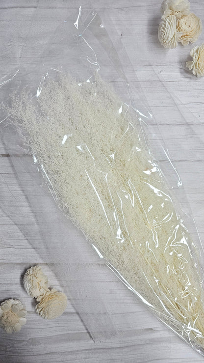 Preserved Dream Star Flower / Lamae