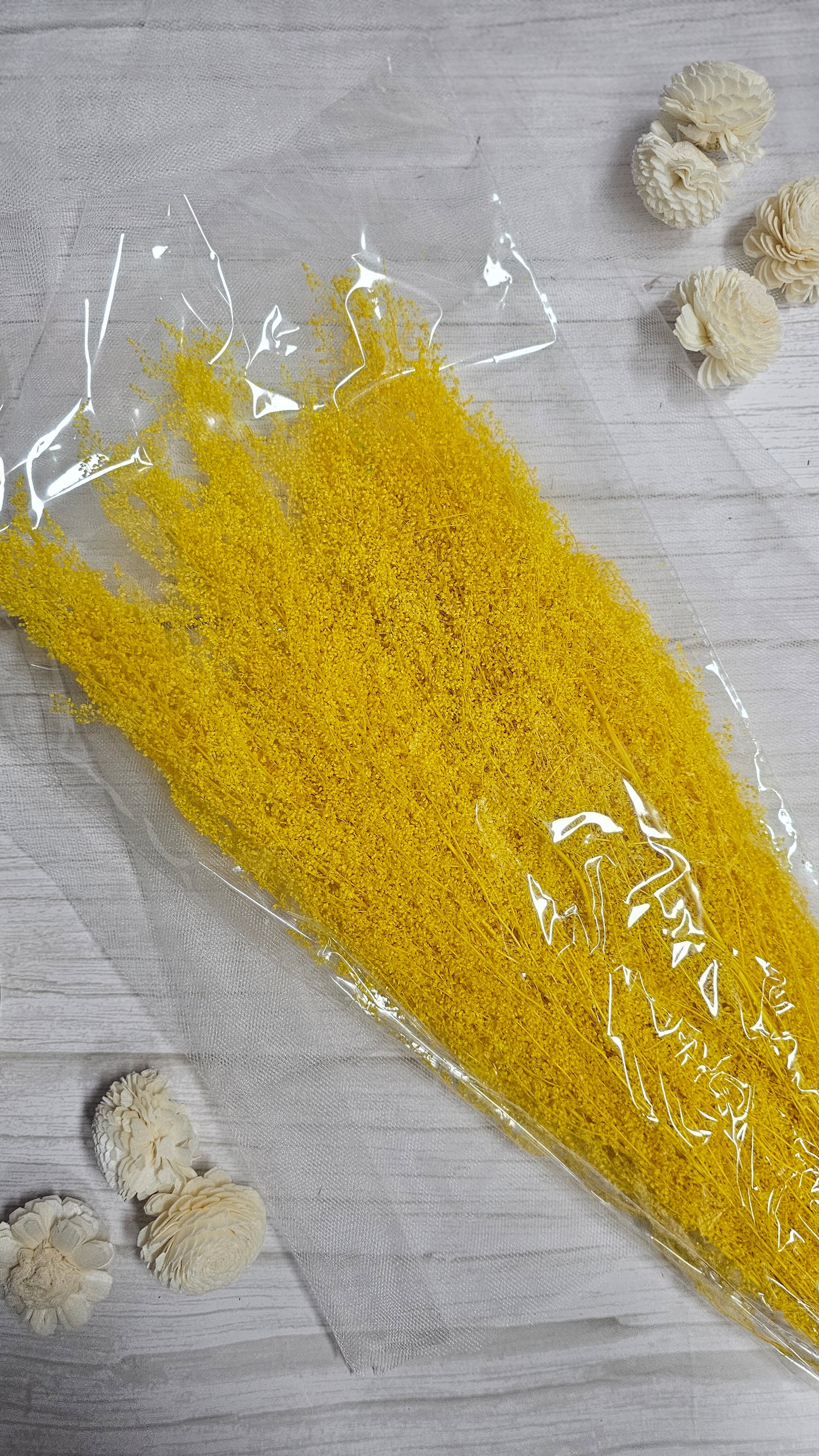 Preserved Dream Star Flower / Lamae