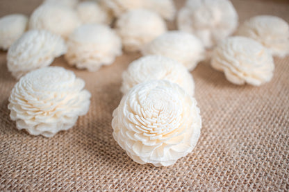 Sola Wood Flowers (In Various Shapes and Designs)