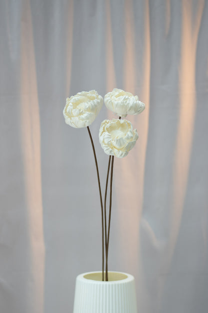 Peony Sola Flower (Single Stalk)