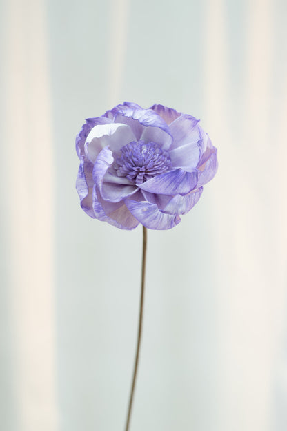 Peony Sola Flower (Single Stalk)