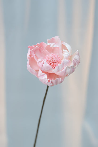 Peony Sola Flower (Single Stalk)