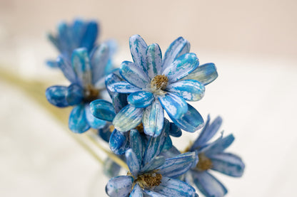 Japanese Seed Wood Flower