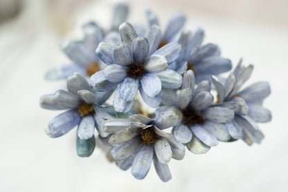 Japanese Seed Wood Flower